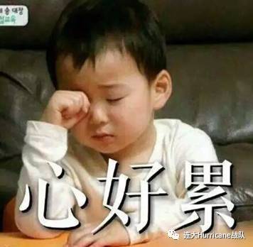 连大学Hurricane需要你的一票pg电子平台Roobmaster 大(图18) 连大学Hurricane需要你的一票pg电子平台Roobmaster 大(图18)